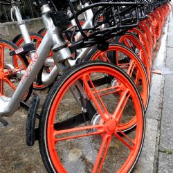 Federico Di Palma: 2019 - Biciclette