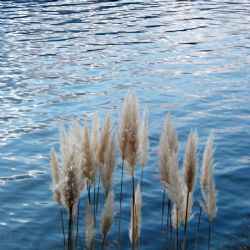 Federico Di Palma: 2003 - Lago Maggiore