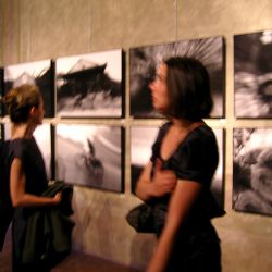 Federico Di Palma: 2009 - Mostra della fotografa Fulvia Farassino